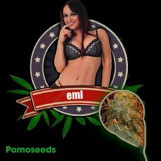 Porno Seeds EML
