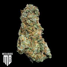 MegaBuds Seeds Big Bruce