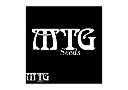 MTG Seeds Afghan Sour-Kush