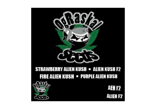 OG Raskal Seeds Alien Kush Medley Mix