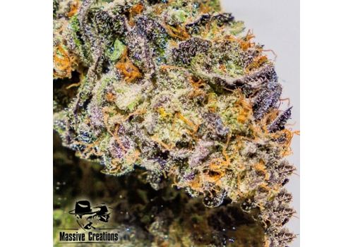 Massive Creations Seeds Cherry Impossible