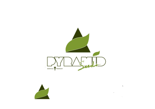 Pyramid Seeds Kukulkan