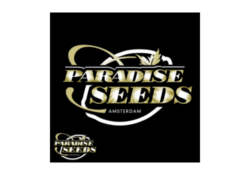 Paradise Seeds Automaria