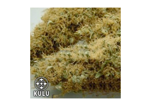 Kulu Seeds Ice Queen