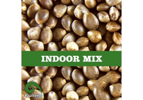 Kiwi Seeds Indoor Mix