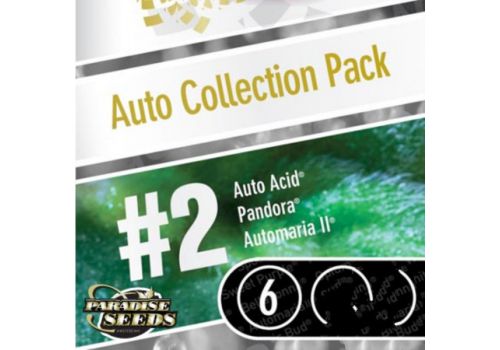 Paradise Seeds AUTO Collection #2