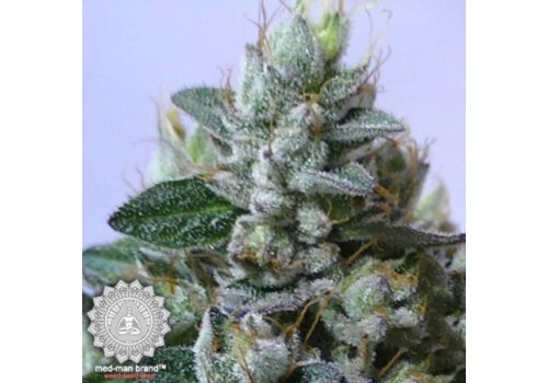 Med-Man Brand West Coast Sour Diesel