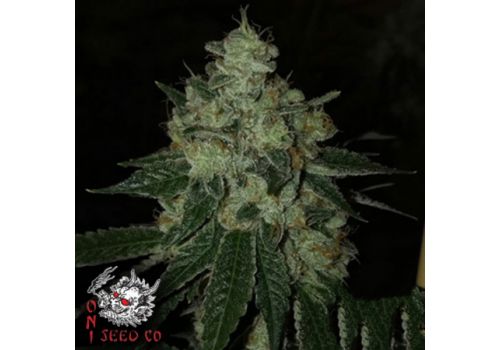 Oni Seed Co Trop Breath