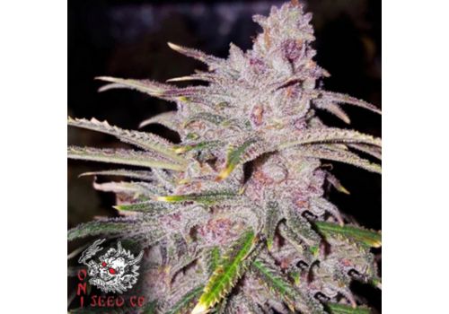 Oni Seed Co Tropicanna Haze
