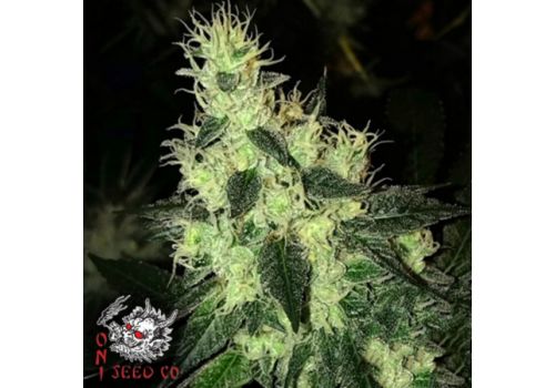 Oni Seed Co Tropsanto