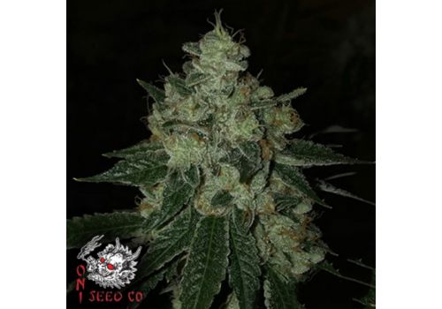 Oni Seed Co Dub Breath