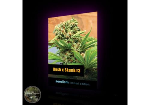 Seedism Seeds Kush x Skunk #3