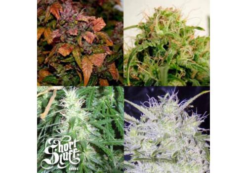 Short Stuff Seeds Short Mix