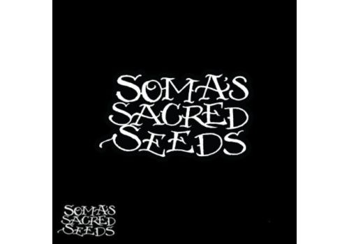 Soma Seeds Somatic