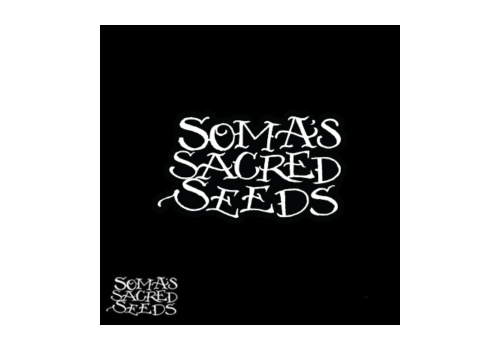 Soma Seeds Somativa