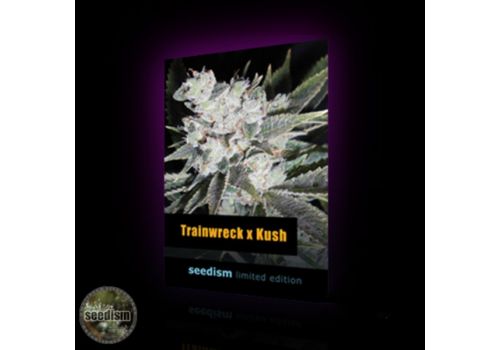 Seedism Seeds Trainwreck x Kush