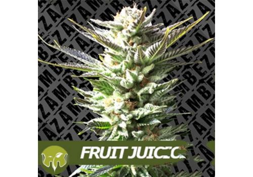 Zambeza Seeds Fruit Juice