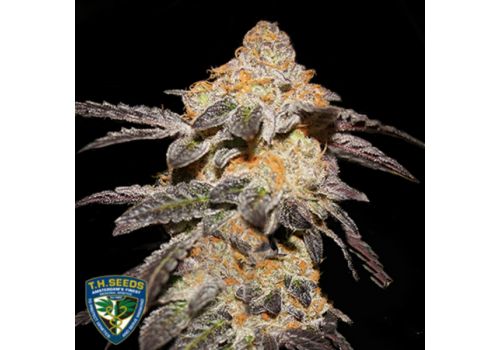 T H Seeds French Cookies