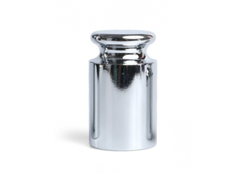 100g Callibration Weight