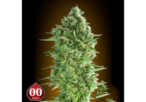 00 Seeds Do-Si-Dos Cookies