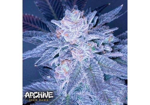 Archive Seeds Grimace OG