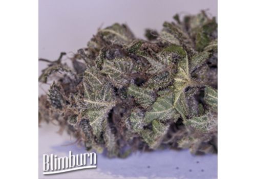 BlimBurn Seeds Green Crack