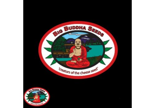 Big Buddha Seeds Black Cheese