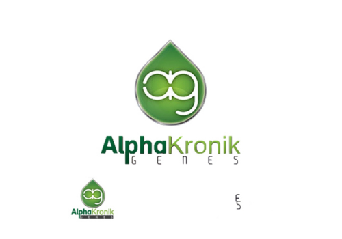 AlphaKronik Genes Seeds Snowdawg F3
