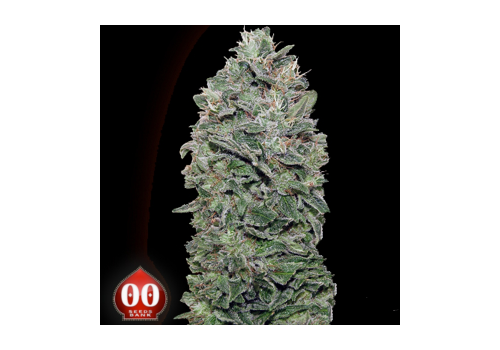 00 Seeds Sweet Soma