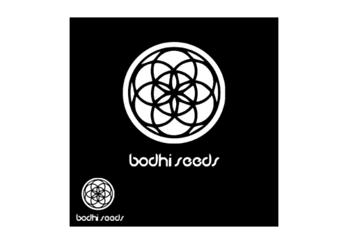 Bodhi Seeds Lavender Aura