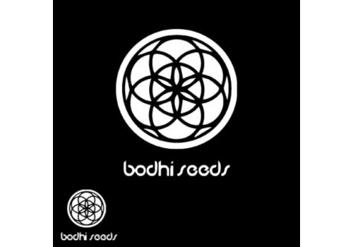 Bodhi Seeds Cocoon