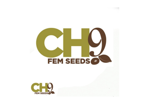 CH9 Seeds Mixed Pack 4