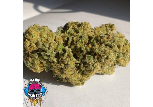 Dank Genetics Seeds Sherbert Pebbles