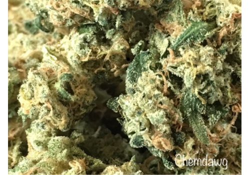 chem 4 chem d