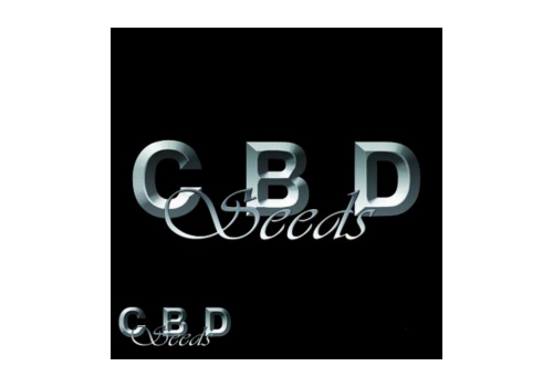 CBD Seeds Lucky Dip