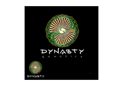 Dynasty Genetics Seeds Super Silver Cough