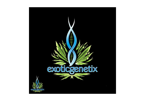 Exotic Genetix Seeds Cheap Trick