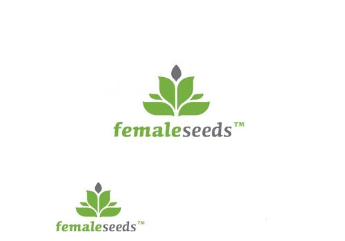 Female Seeds AUTO Gelato