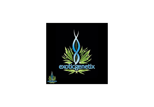 Exotic Genetix Seeds Fukushima