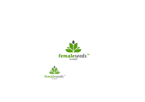 Female Seeds X-Line AUTO Haze