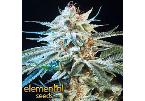 Elemental Seeds Honey Bananas