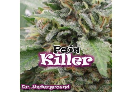 Dr. Underground Seeds Painkiller