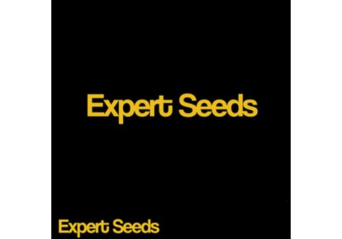 Expert Seeds PROMO - Auto & Fem Seeds