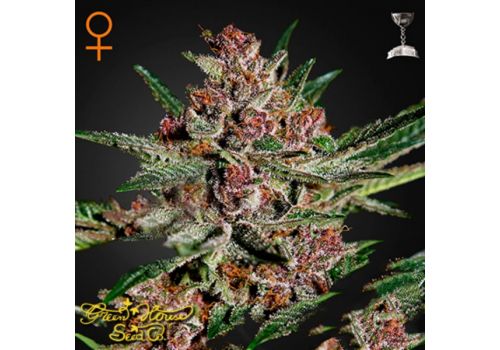 Green House Seeds Bubba Kush