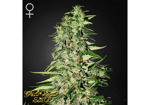 Green House Seeds Diamond Girl