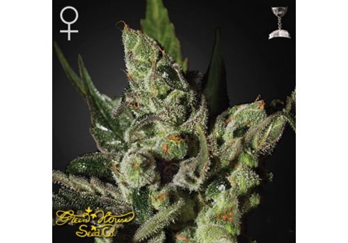 Green House Seeds Exodus Cheese