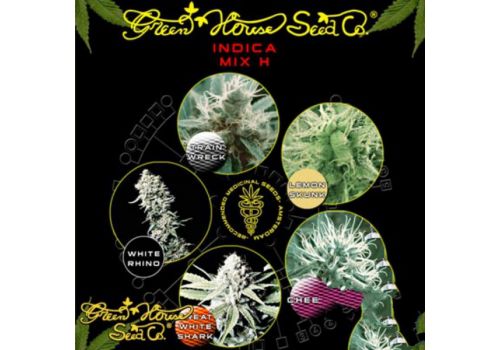Green House Seeds Indica Mix H
