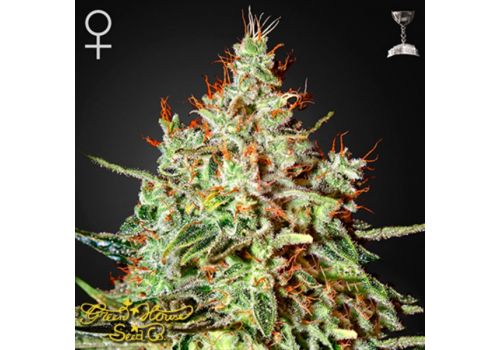 Green House Seeds K Train