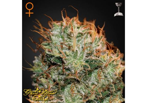 Green House Seeds Kaia Kush