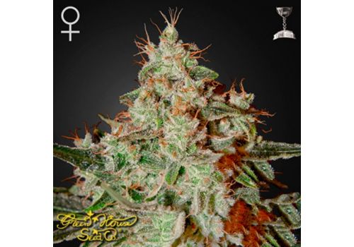 Green House Seeds Lemon Skunk